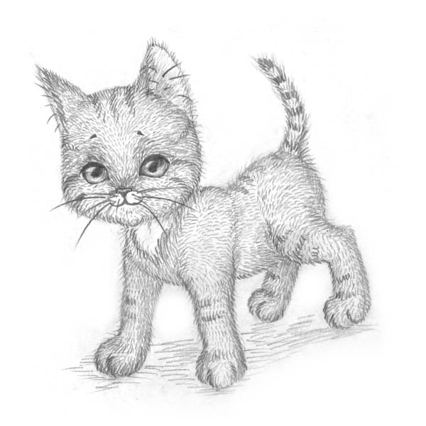 Рисуем котенка - шаг 9