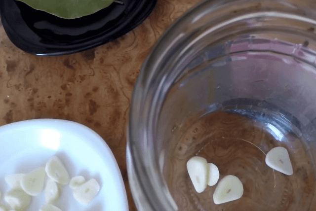 Сало в рассоле – самые вкусные рецепты! Как вкусно посолить сало