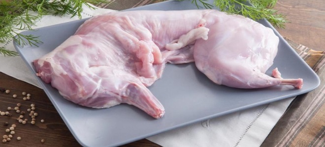 Как приготовить кролика в домашних условиях — секреты приготовления блюд из крольчатины
